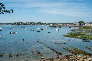 parc à huitre à Baden