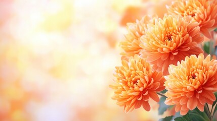 Orange chrysanthemum, autumn hues, copy space, warm and inviting, Double exposure silhouette with fall leaves