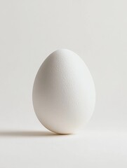 Single white egg on a pure white background