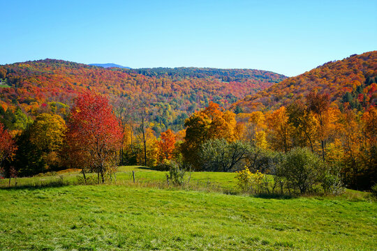 Beautiful autumn colors along the rolling hills of rural Vermont, USA