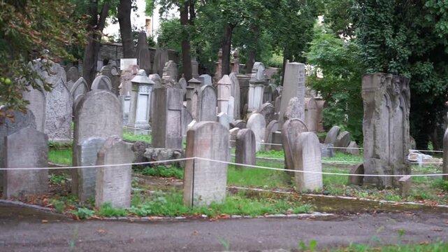 old Jewish cemetery in the park