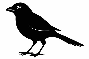 Tanager bird silhouette black vector art illustration