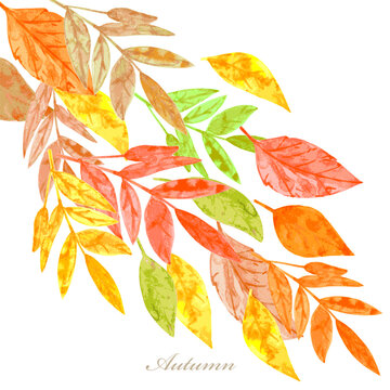 watercolor flying autumn colorful leaves. card with blowing bunch of fall leaves