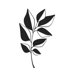 Herb Branch line art collection. Botanical illustration