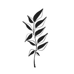 Herb Branch line art collection. Botanical illustration