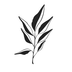 Herb Branch line art collection. Botanical illustration