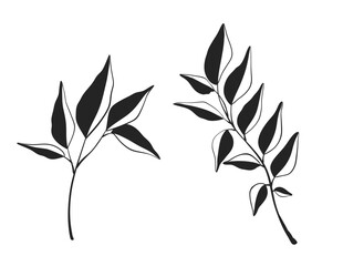 Fototapeta premium Herb Branch line art collection. Botanical illustration