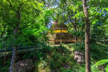 Background of various species of trees growing on the foot of the mountain, on the high rocks on the mountain top, beautiful ecosystem, fresh air.