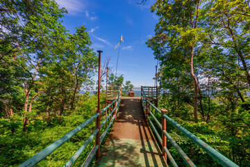 Background of various species of trees growing on the foot of the mountain, on the high rocks on the mountain top, beautiful ecosystem, fresh air.