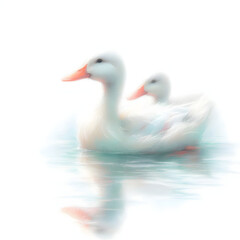 흰 배경, 오리, 파스텔화 (White background, duck, pastel painting)