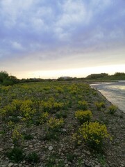 Obraz premium sunset over the river