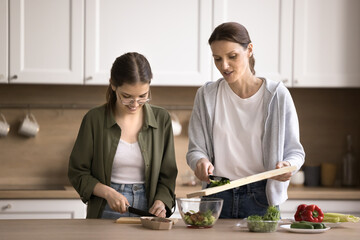 Positive teenage daughter help mother in home kitchen, prepare fresh vegan salad, cut vegetables, communicate, spend leisure time together, enjoy cooking healthy food for family lunch. Chores, cookery