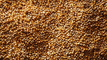 Top view of full frame background of pile of dry corn seeds stored in warehouse at factory