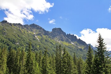 Fototapeta premium high mountains, Tatra Park, green trees, blue sky, natural plants, green corners