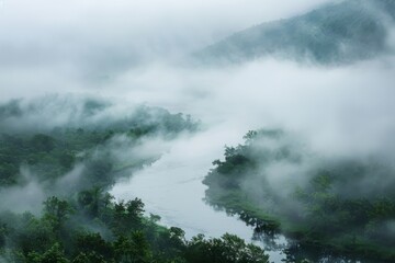 Fototapeta premium A fog-laden river bordered by trees, presenting a serene and enchanting view of the natural environment, A river disappearing into the fog , AI generated