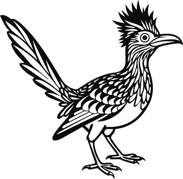 recommend clip art: roadrunner silhouette vector illustration