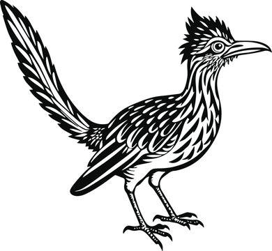recommend clip art: roadrunner silhouette vector illustration