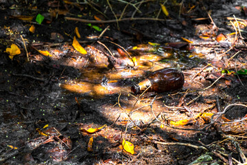 Waste garbage pollution car tires packaging in tropical jungle nature.