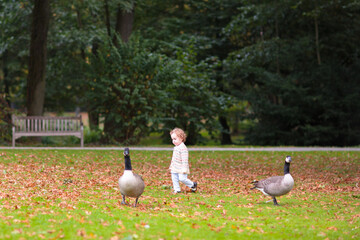 Fototapeta premium Kids play in autumn park