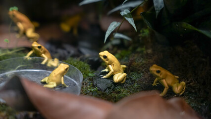 Zoo Tiere
