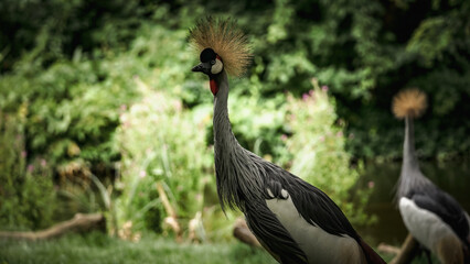 Zoo Tiere