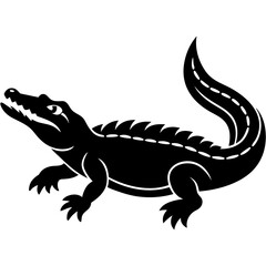 lizard on a white background