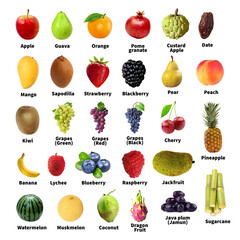 A colourful set of Fruits icons and names.