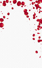 Red_Rose_Petal_Transparent_Background_95.eps