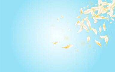 yellow_petals_blue_background_882.eps