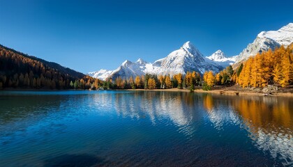 Golden Light on Autumn Landscape