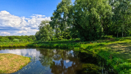Summer landscape on the river bank