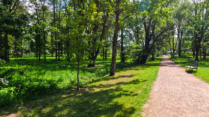 Bright colors of the summer city park