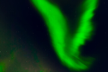 Aurora borealis spectacular show form of bird pattern object in clear blue night sky in Iceland
