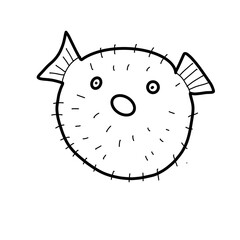 fish animal natural water swim sea marine puffer fish  © khulisara