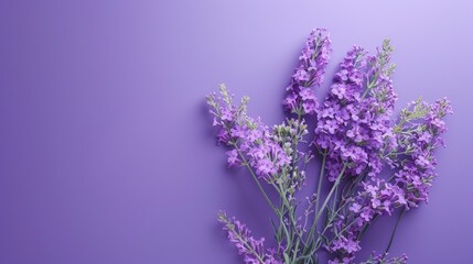 Obraz premium Quote for positivity on purple background wishing a good day