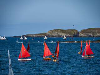 Sail boats racing off the isle of Anglesey