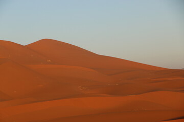 sahara landscape