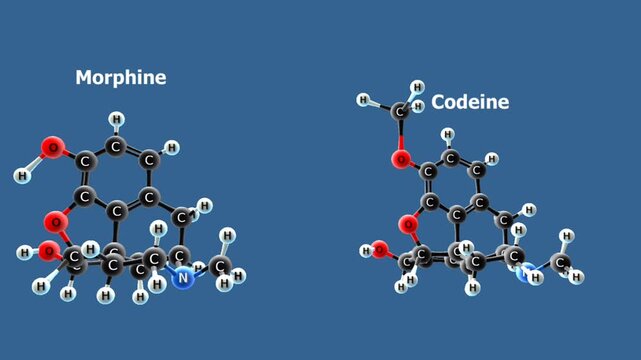 Morphine and codeine structural formula