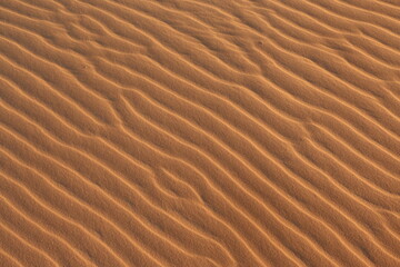 sand dune texture