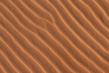 ripples in the sand