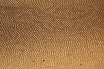 sand background