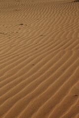 ripples in the desert sand