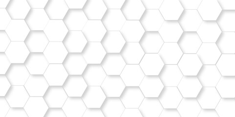 Abstract White Hexagonal Background. Luxury White Pattern. Vector Illustration. 3D Futuristic abstract honeycomb mosaic white background. geometric mesh cell texture. modern futuristic wallpaper.