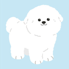 Simple and adorable illustration of Bichon Frise standing