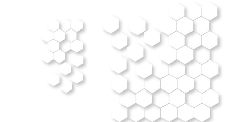 Abstract White Hexagonal Background. Luxury White Pattern. Vector Illustration. 3D Futuristic abstract honeycomb mosaic white background. geometric mesh cell texture. modern futuristic wallpaper.