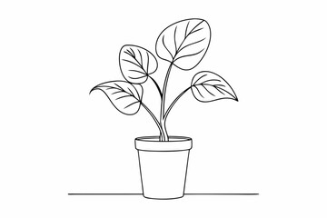 House plant in a pot doodle outline, Potted plant line art vector illustration