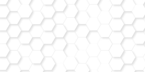 Naklejka premium Abstract White Hexagonal Background. Luxury White Pattern. Vector Illustration. 3D Futuristic abstract honeycomb mosaic white background. geometric mesh cell texture. modern futuristic wallpaper.
