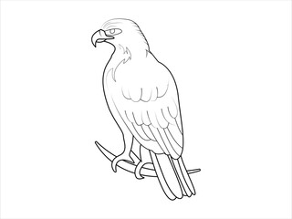 Eagle Line art vector Illustration for coloring page. An eagle sitting on a branch