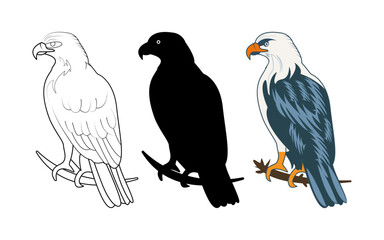 Eagle set or collection vector Illustration. Eagle silhouette, Line art, colorful