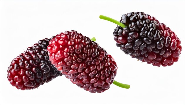 Mulberry floating in the air, isolated on white background
